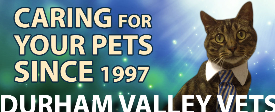 Caring for Your Pets Since 1997